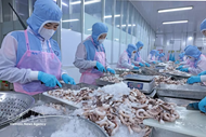 Fisheries sector strives for USD 12 billion in exports amid rising costs